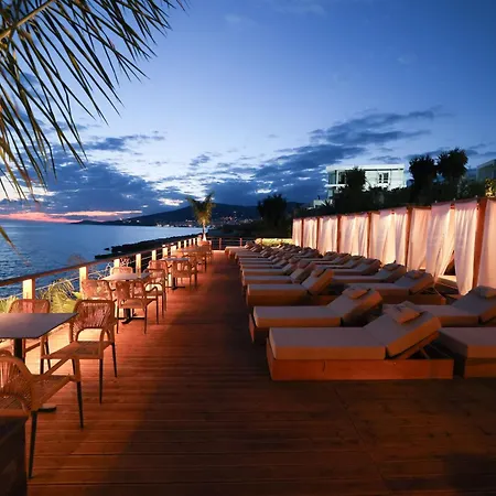 Palmera Vip