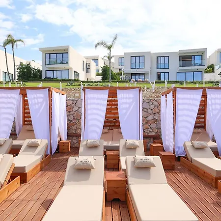 Villa Palmera Vip *