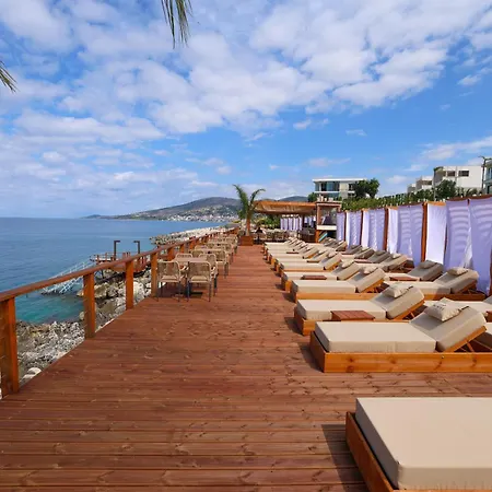 Villa Palmera Vip