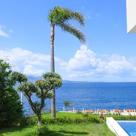 Palmera Vip