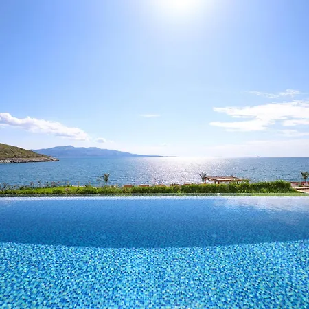Palmera Vip Villa *